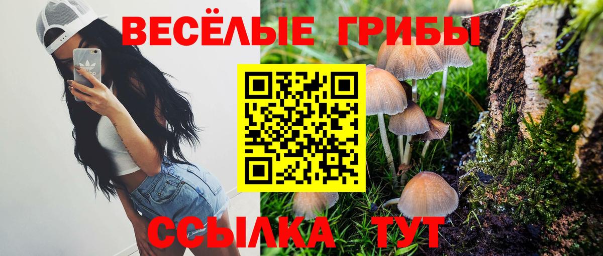 Галлюциногенные грибы GOLDEN TEACHER  Вход с VPN  Раменское 